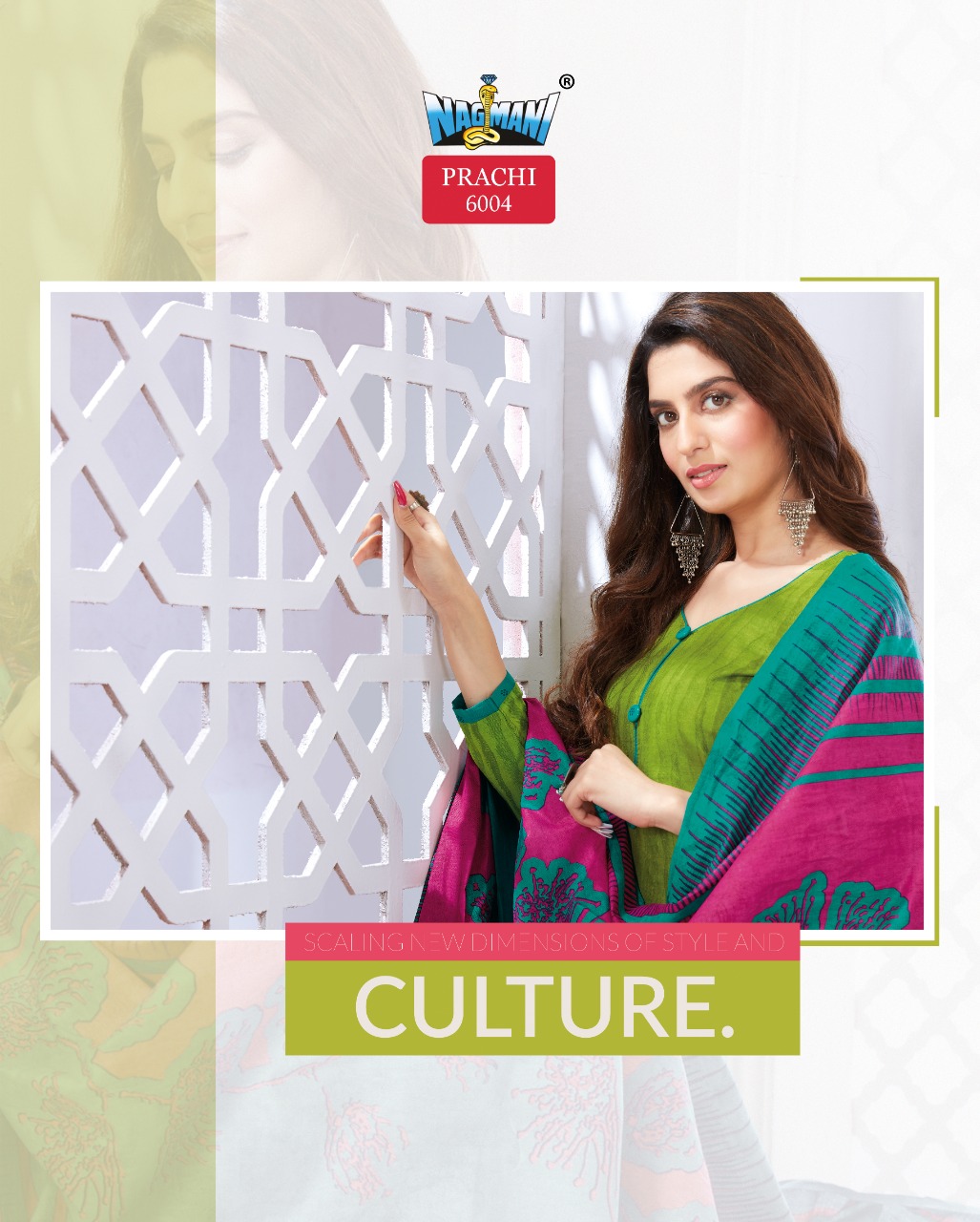 Nagmani Prachi Vol 6 Series 6001-6012 Printed Pure Cotton Suit