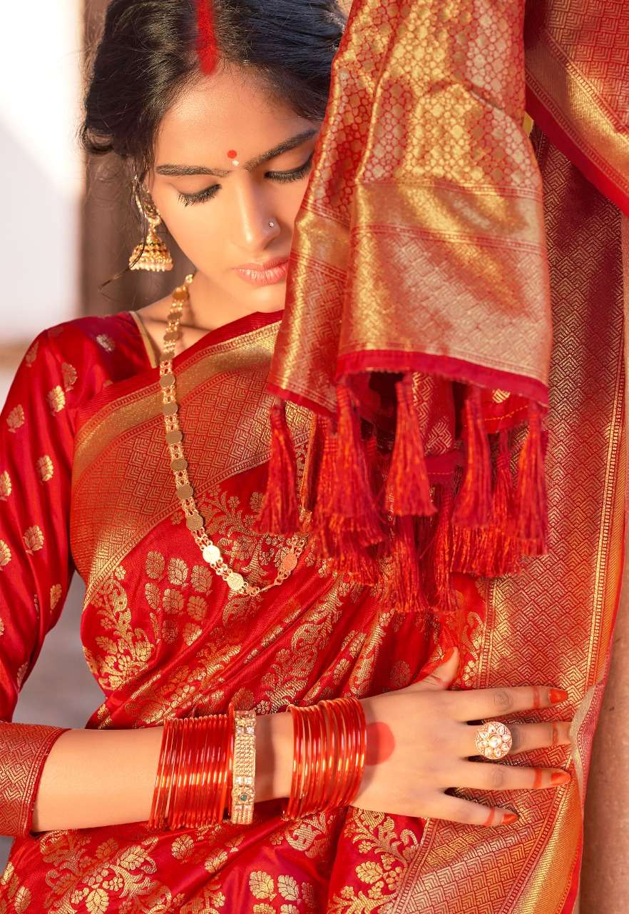 Rajyog Aasman Festive Wear Silk Sarees Collection At SaiDharaNx 