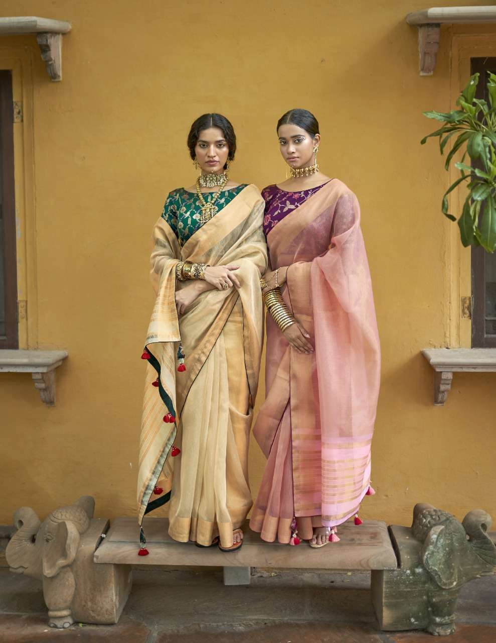 Falak Kimora Sarees Wholesale Rate In Surat - Saidharanx 